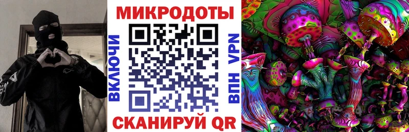 Псилоцибиновые грибы прущие грибы  блэк спрут как войти  Армянск 